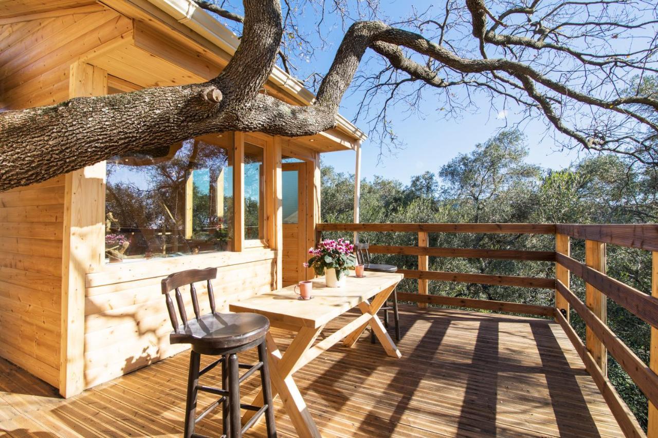 Romantic Tree House Kato Pavliana Exterior foto