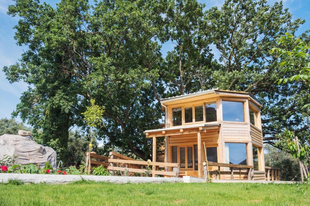 Romantic Tree House Kato Pavliana Exterior foto